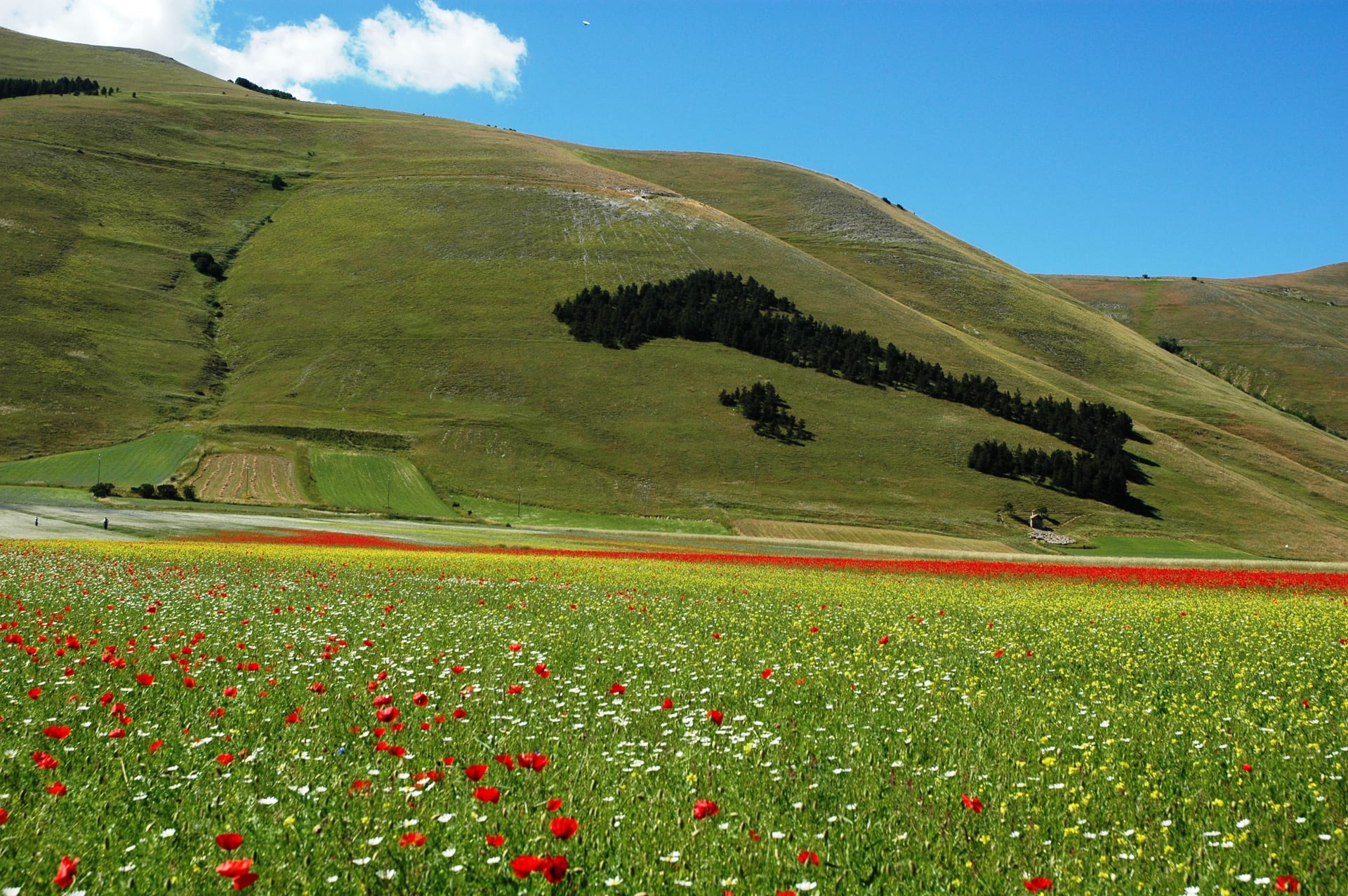 Guida Turistica Umbria